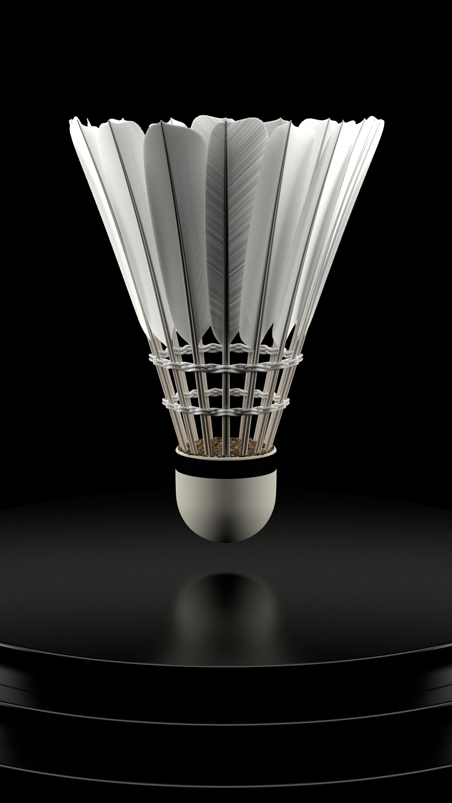 师的精神传 师的精神传