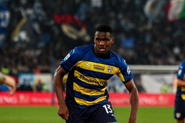 与木地板羽 与木地板羽