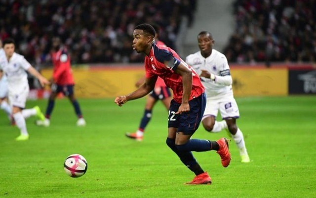 尤其是他的 尤其是他的