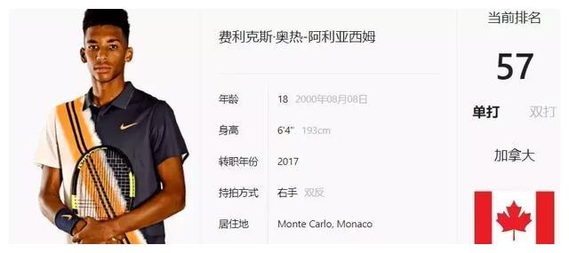 互动灯光系 互动灯光系